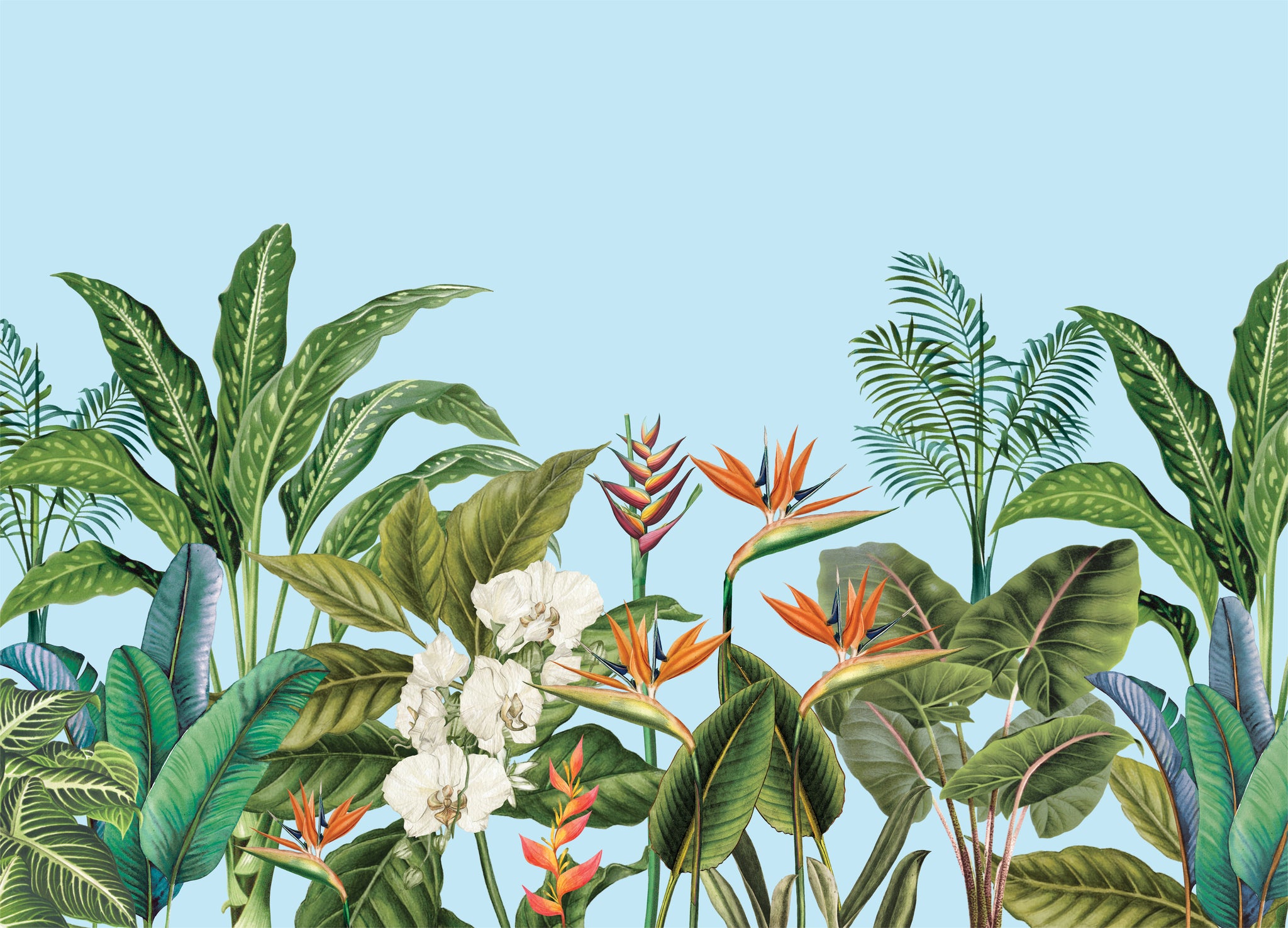 木版画『Tropical paradise 』 Bird-of-paradise---baby-