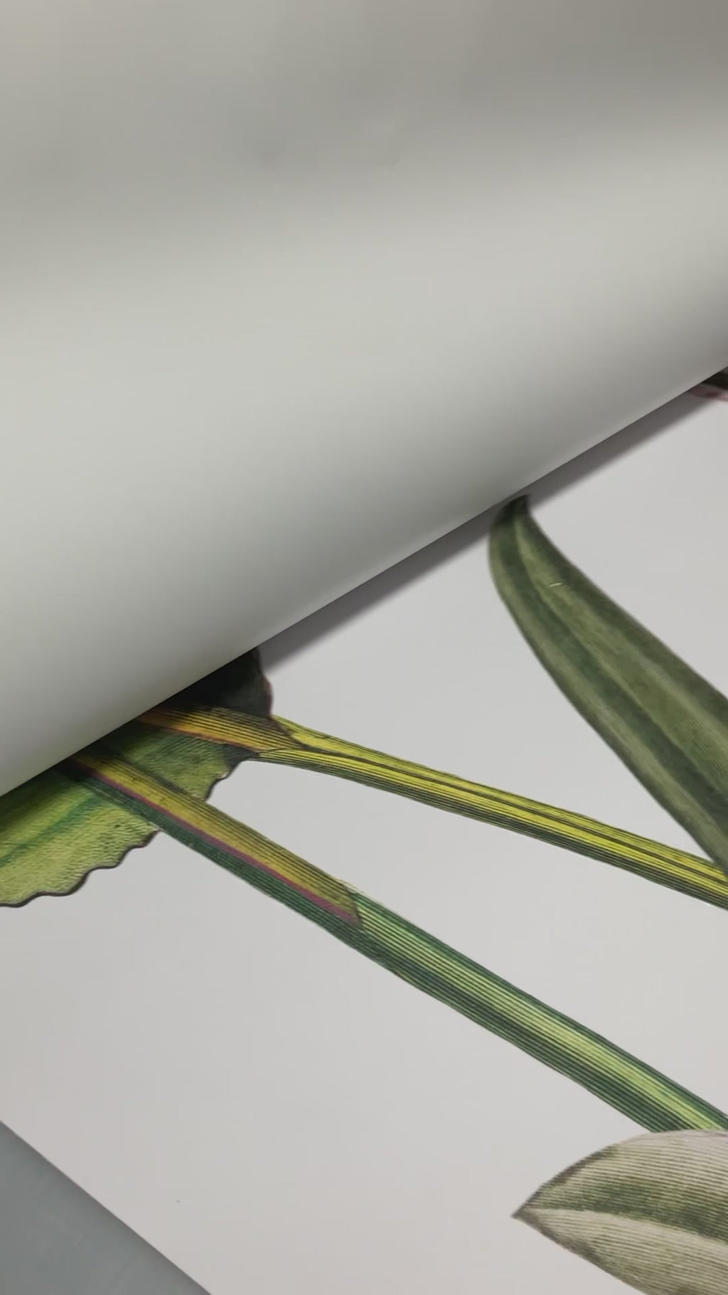 Botanical Paradise wall mural WIV-933 - A Luxurious Tropical